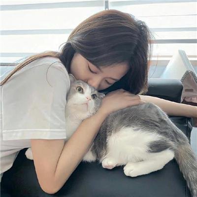 无罪的辩护